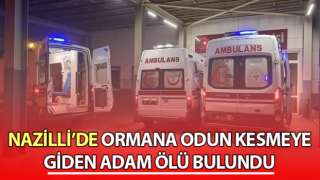 Ormana odun kesmeye gitti, ölü olarak bulundu