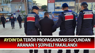 Terör propagandası suçundan aranan 1 şüpheli yakalandı