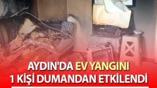 Aydın'da ev yangını panikletti