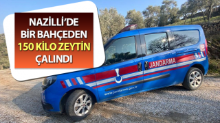 Aydın’da zeytin çalan 2 şüpheli yakalandı