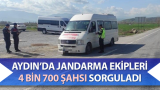 Jandarma ekipleri 4 bin 700 şahsı sorguladı