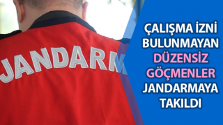 Aydın’da 7 düzensiz göçmen yakalandı