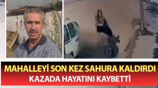 Aydın'da hafif ticari araç, at arabasına çarptı