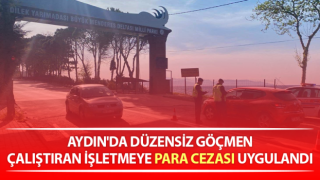 Düzensiz göçmen çalıştıran işletmeye 227 bin TL para cezası uygulandı