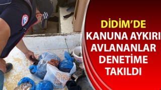 Kanuna aykırı avlananlar denetime takıldı