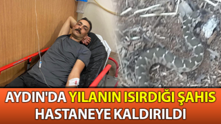 Aydın'da yılanın ısırdığı şahıs hastaneye kaldırıldı