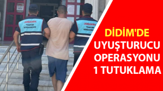 Didim'de uyuşturucu operasyonu: 1 tutuklama
