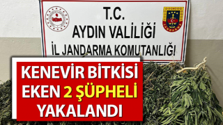 Efeler’de 2 şüpheli şahıs yakalandı