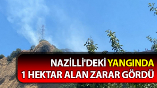 Nazilli'deki yangında 1 hektar alan zarar gördü