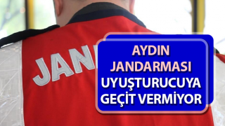 Aydın jandarması uyuşturucuya geçit vermiyor