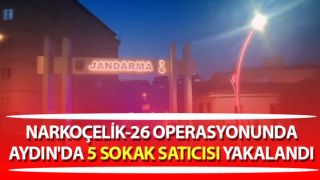 Aydın'da 5 sokak satıcısı yakalandı