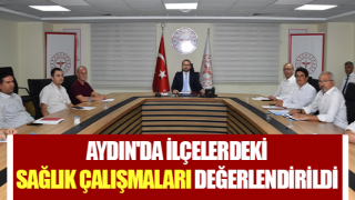 Aydın'da ilçelerdeki sağlık çalışmaları değerlendirildi