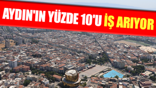 Aydın'da istihdam oranı yüzde 47,4 oldu