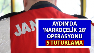 Aydın'da 'Narkoçelik-28' operasyonu