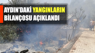 Aydın'daki yangınlarda 14 küçükbaş hayvan telef oldu