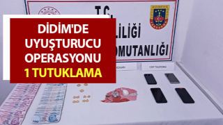 Didim'de uyuşturucu operasyonu: 1 tutuklama