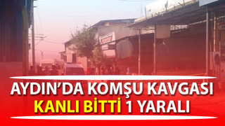 Komşu kavgası kanlı bitti: 1 yaralı