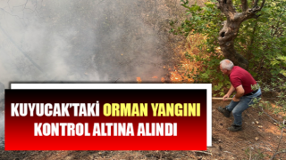 Kuyucak’taki orman yangını kontrol altına alındı