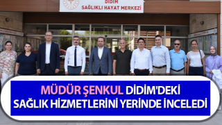 Müdür Şenkul, sağlık hizmetlerini yerinde inceledi