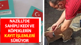 Nazilli'de sahipli kedi ve köpeklerin kayıt işlemleri sürüyor