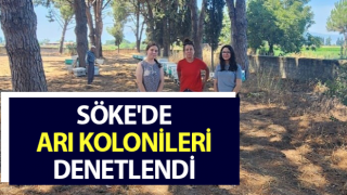 Söke'de arı kolonileri denetlendi