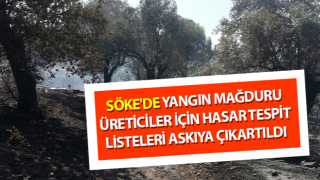 Söke'de çiftçi bazında hasar tespit listeleri askıya çıkarıldı