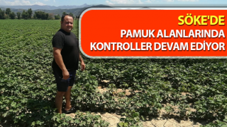 Söke'de pamuk alanlarında kontroller devam ediyor