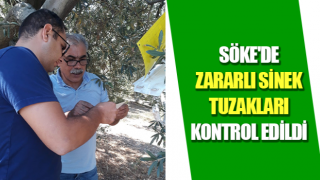 Söke'de zararlı sinek tuzakları kontrol edildi