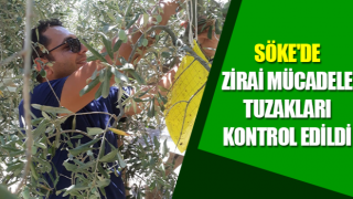 Zirai mücadele tuzakları kontrol edildi