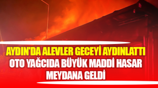 Aydın'da alevler geceyi aydınlattı