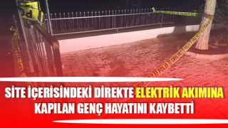 Aydın’da elektrik akımına kapılan genç hayatını kaybetti