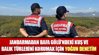 Aydın'da jandarma ekiplerinden yoğun denetim