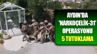 Aydın'da 'NARKOÇELİK-31' operasyonu