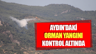 Aydın’daki orman yangını kontrol altında