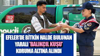 Bitkin halde bulunan yaralı 'balıkçıl kuşu' koruma altına alındı