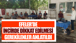 Efeler'de incirde dikkat edilmesi gerekilenler anlatıldı