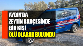 Gittiği bahçede ölü bulundu