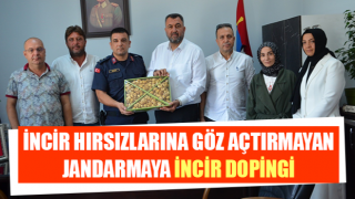 İncir hırsızlarına göz açtırmayan jandarmaya incir dopingi