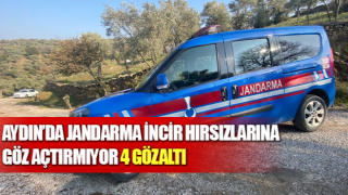 Jandarma incir hırsızlarına göz açtırmıyor: 4 gözaltı