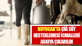 Kuyucak'ta çiğ süt desteklemesi icmalleri askıya çıkarıldı