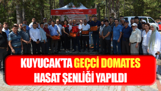 Kuyucak'ta geçci domates hasat şenliği yapıldı