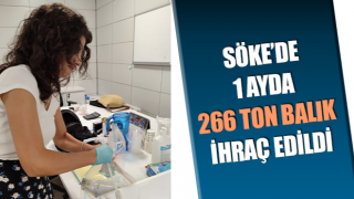 Söke’de 1 ayda 266 ton balık ihraç edildi