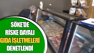 Söke’de riske dayalı gıda işletmeleri denetlendi