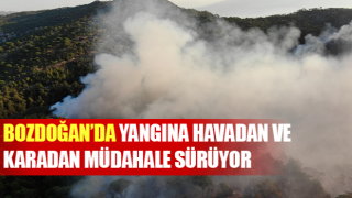 Yangına havadan ve karadan müdahale sürüyor