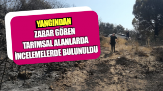 Yangından zarar gören tarımsal alanlarda incelemelerde bulunuldu