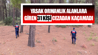 Yasak ormanlık alanlara giren 31 kişi cezadan kaçamadı