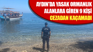 Yasak ormanlık alanlara giren 9 kişi cezadan kaçamadı