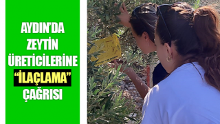 Zeytin üreticilerine “ilaçlama” çağrısı