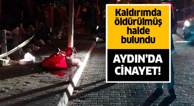 Aydın'da cinayet!