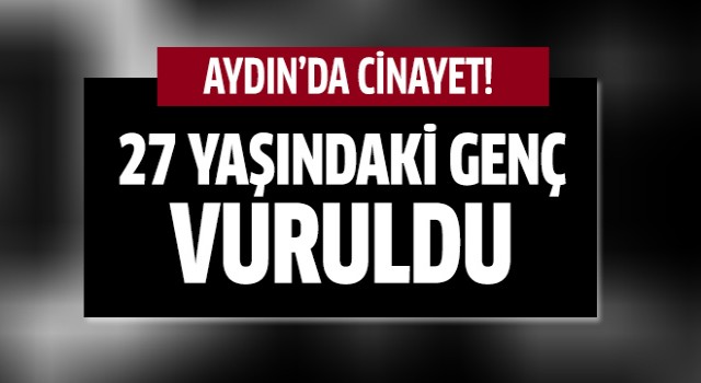 Aydın'da cinayet